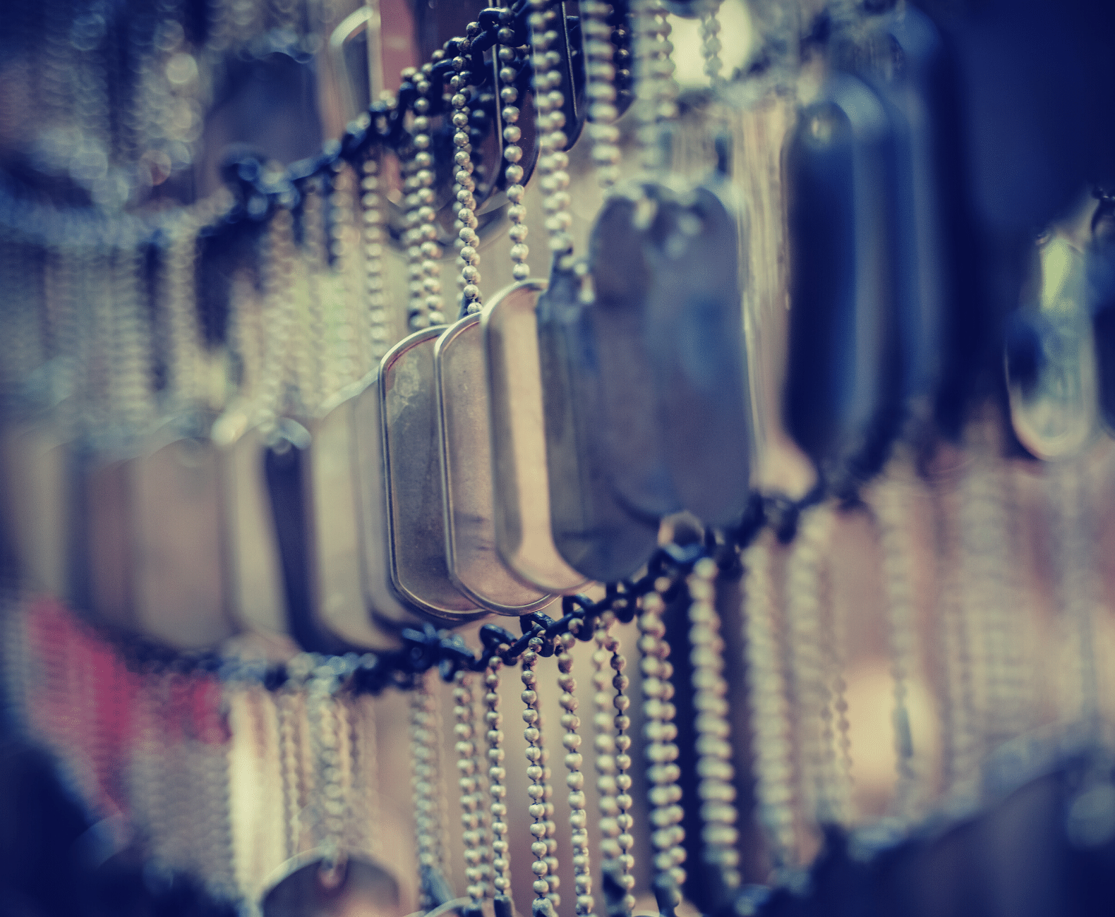 Specialized sales dog tags